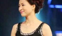 王芳主持人爆料新闻视频,揭秘新闻背后的真相